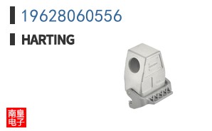 19628060556