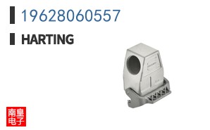 19628060557