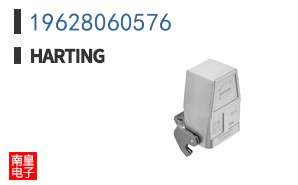19628060576