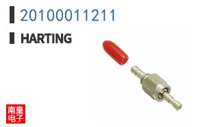 20100011211