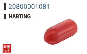20800001081