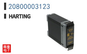 20800003123
