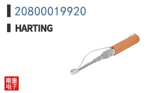 20800019920
