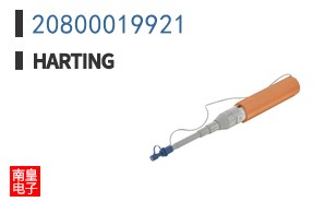 20800019921