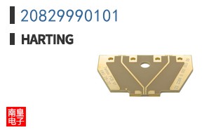 20829990101