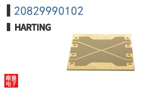 20829990102