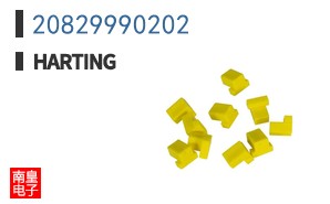 20829990202