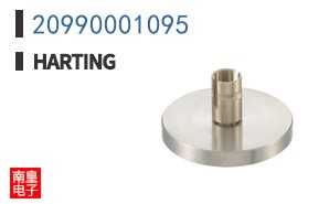 20990001095