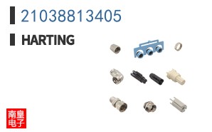 21038813405