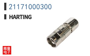 21171000300