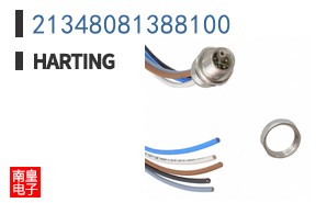 21348081388100
