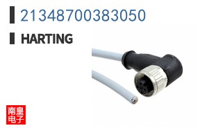 21348700383050