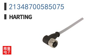 21348700585075