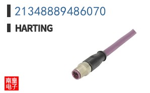 21348889486070