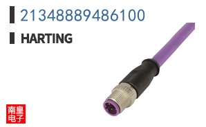 21348889486100