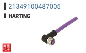 21349100487005