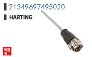 21349697495020