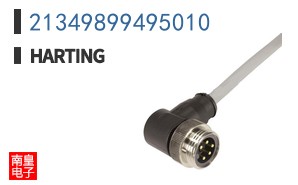 21349899495010