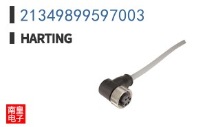 21349899597003