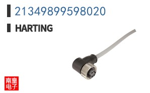 21349899598020
