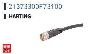 21373300F73100