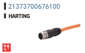 21373700676100