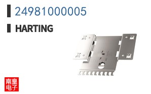 24981000005
