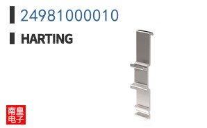 24981000010