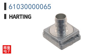 61030000065