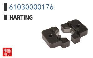 61030000176