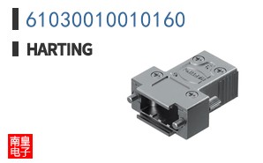 61030010010160