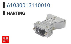 61030013110010