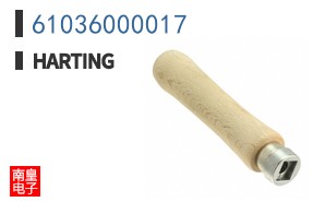 61036000017