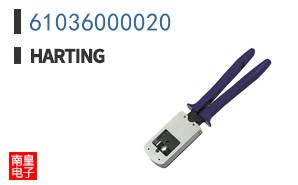61036000020