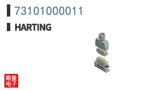 73101000011