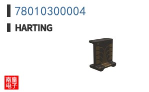 78010300004