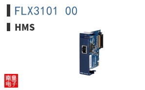 FLX3101_00