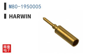 M80-1950005