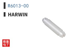 R6013-00