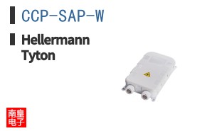 CCP-SAP-W