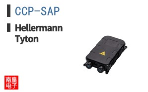 CCP-SAP