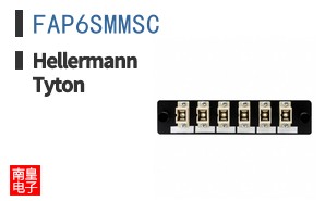 FAP6SMMSC