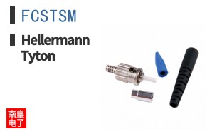 FCSTSM