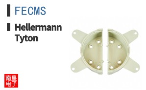 FECMS