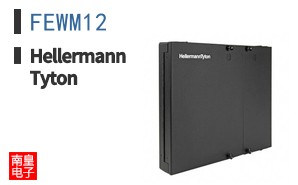 FEWM12