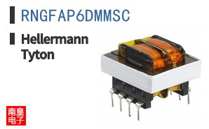 RNGFAP6DMMSC