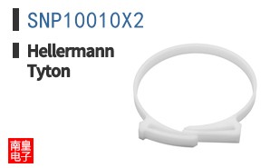 SNP10010X2