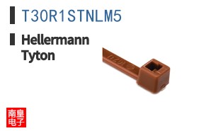 T30R1STNLM5