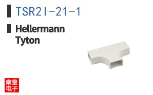 TSR2I-21-1