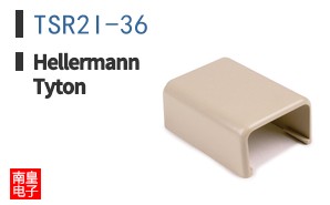 TSR2I-36